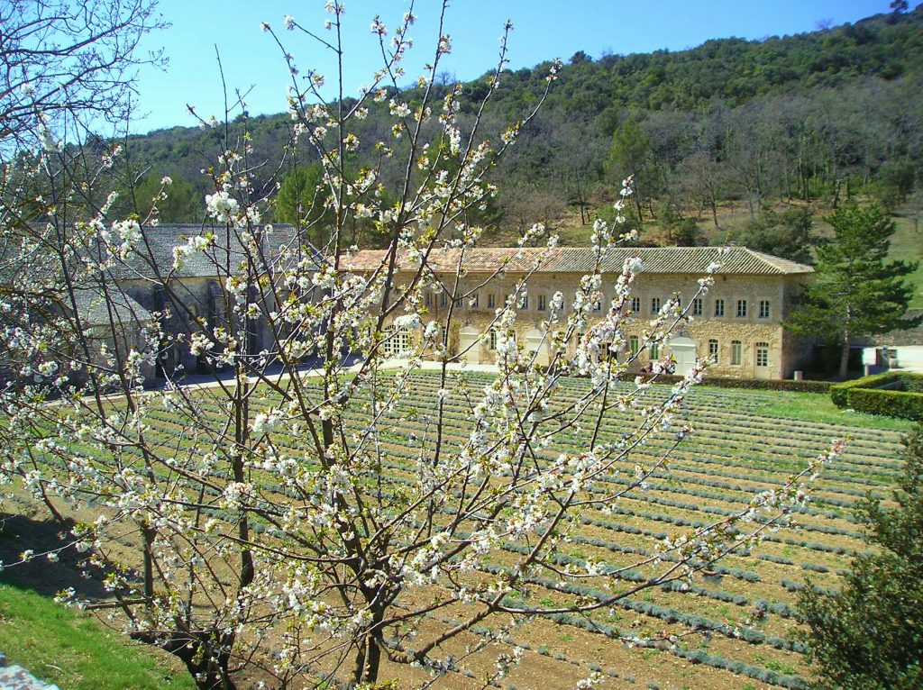 Unmissable places in Provence