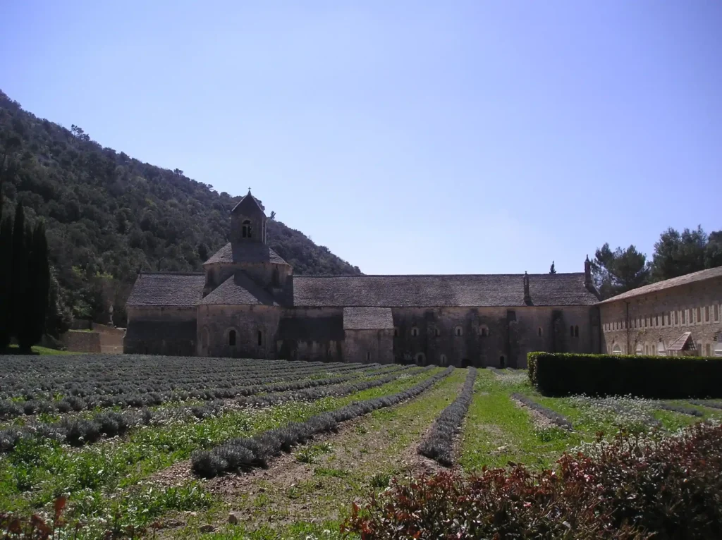 Abbazia di Sénanque e i suoi campi di lavanda