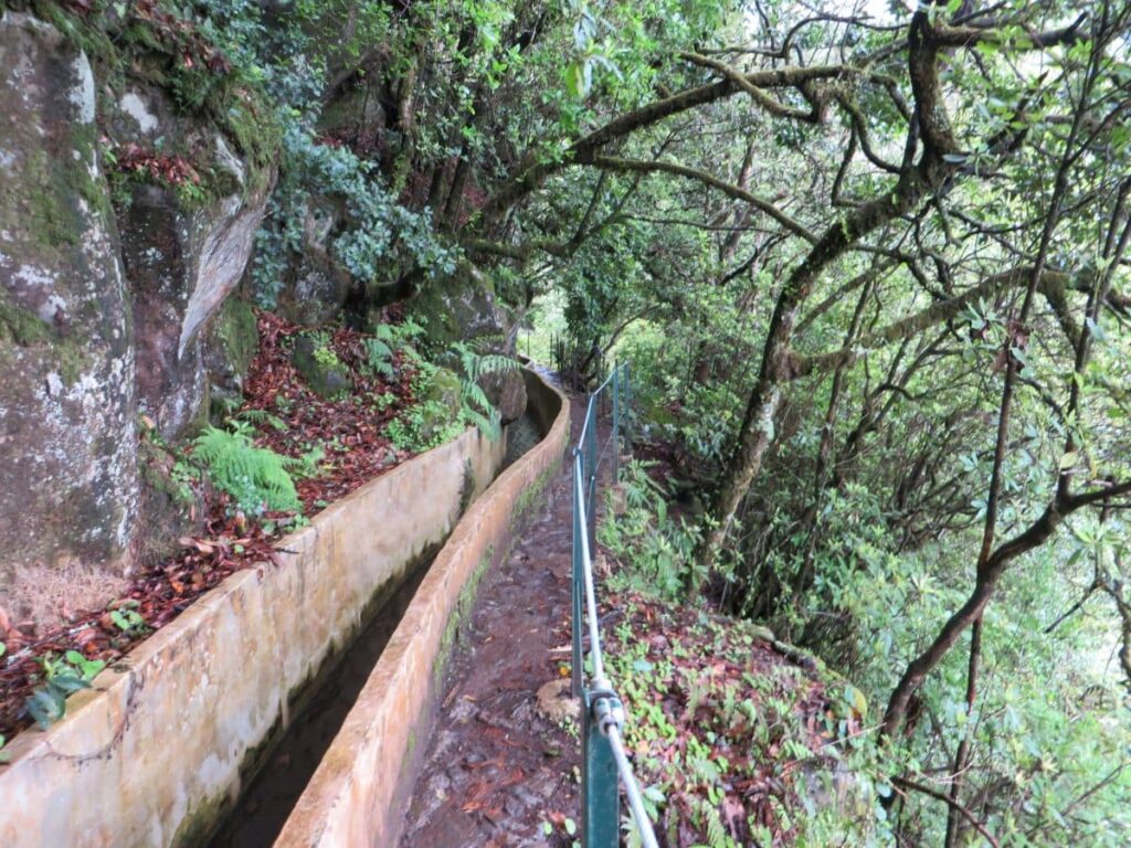 Sentiero lungo una levada a Madeira immerso nella vegetazione della Laurisilva