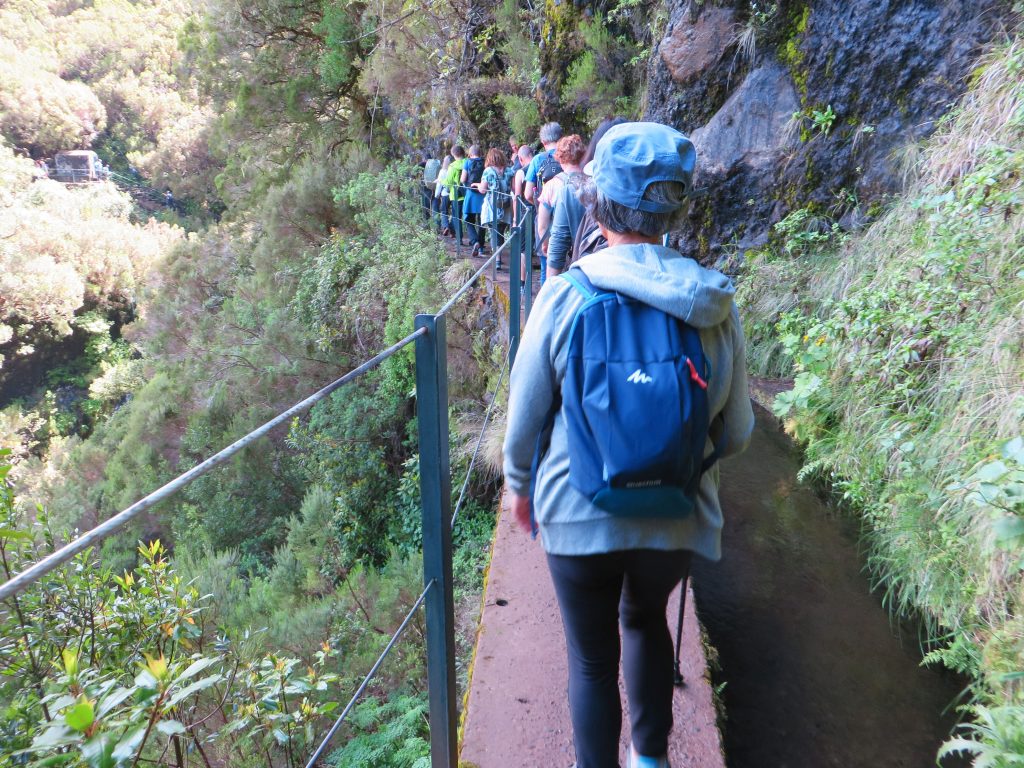 Madeira Levadas
