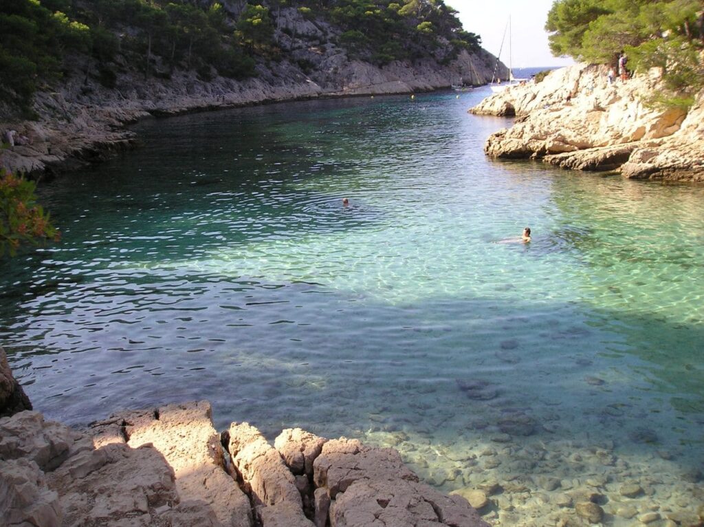 Calanque di Port-Pin nel Parco nazionale delle Calanques, con acque turchesi, rocce calcaree e pini d’Aleppo.