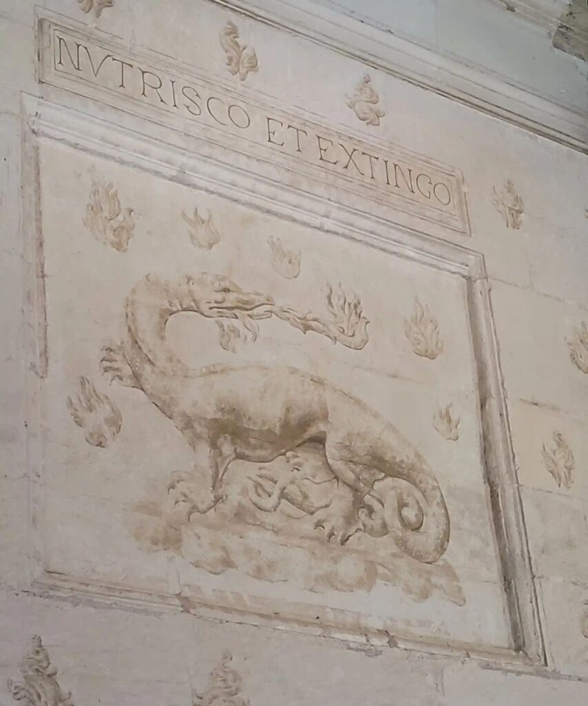 Nutrisco et extingo, il motto di Francesco I nei castelli della Loira.