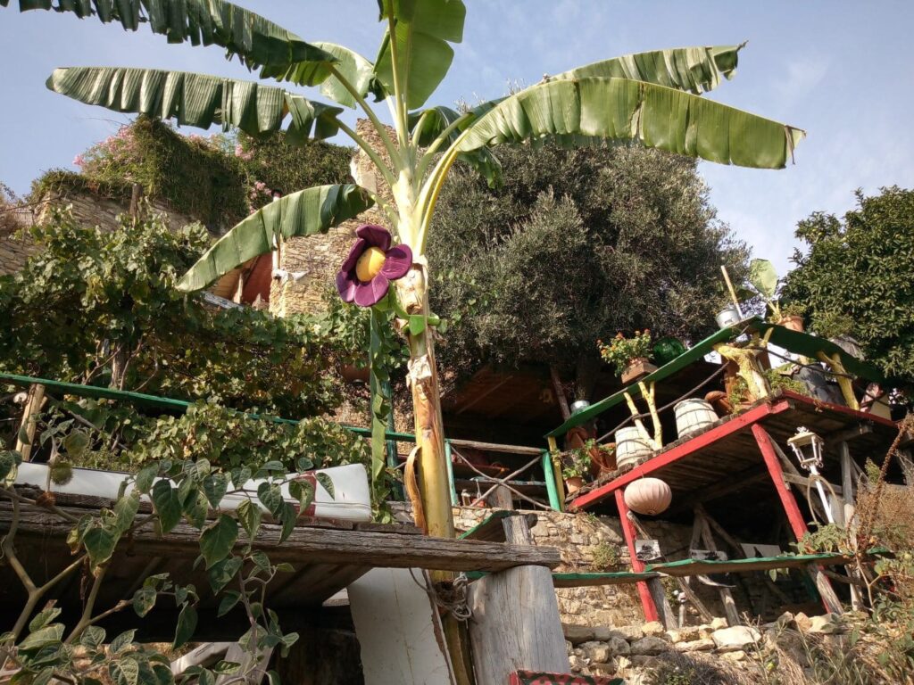 Casa la Barca a Bussana Vecchia