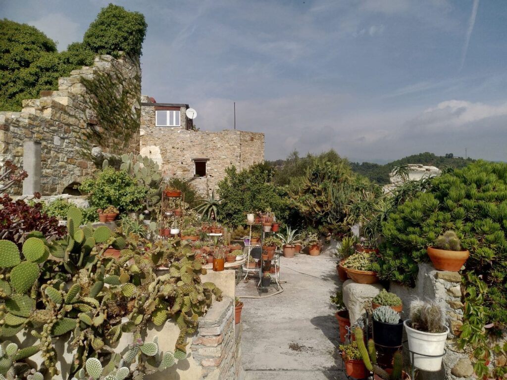 Il giardino in mezzo ai ruderi a Bussana Vecchia