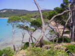 La spiaggia di Porquerolles