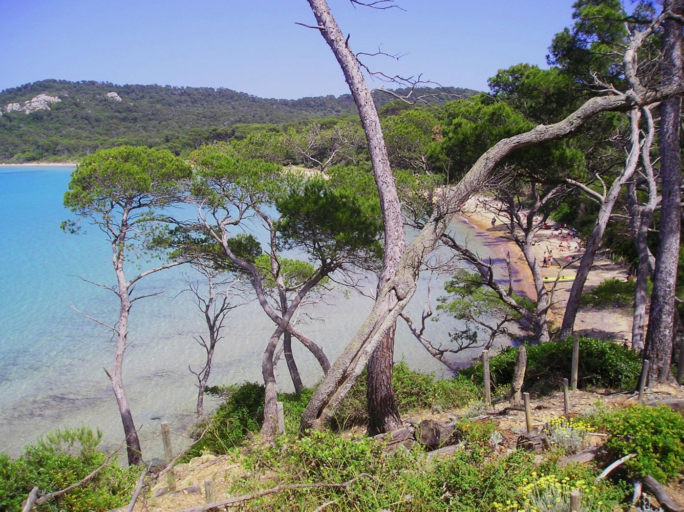 La spiaggia di Porquerolles