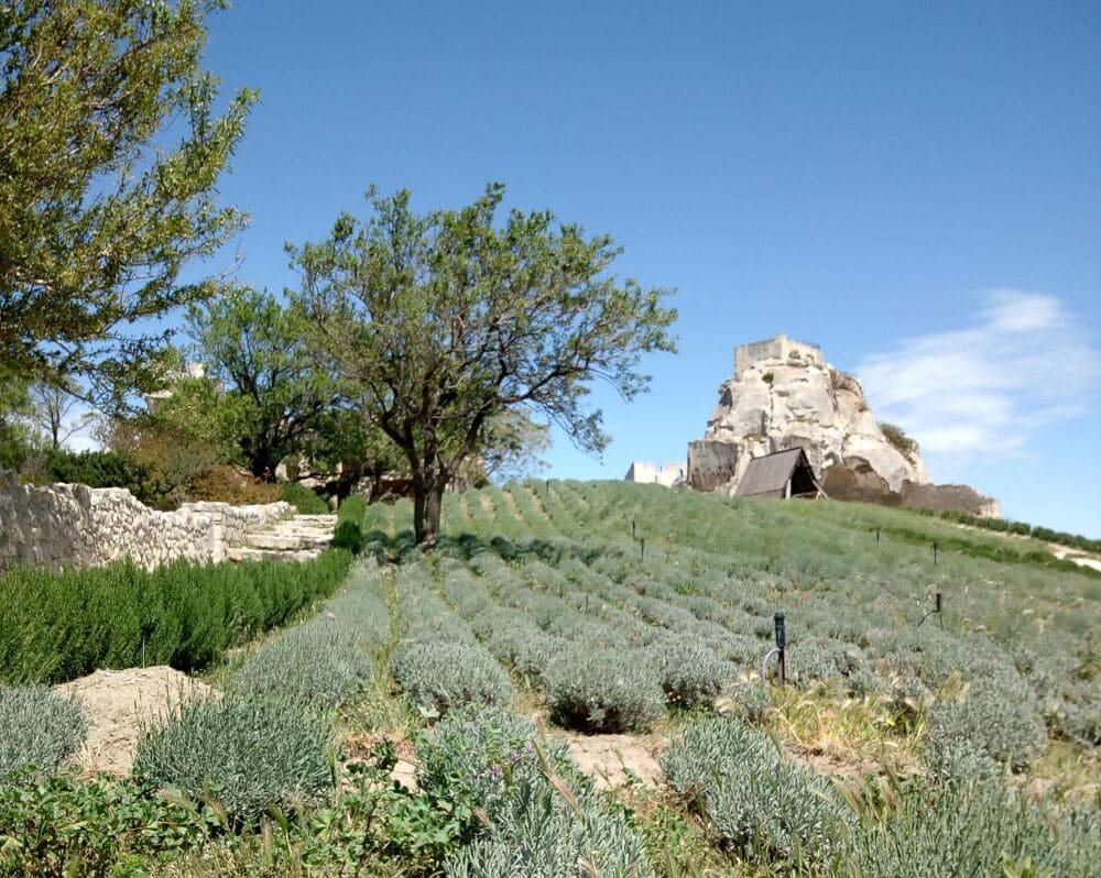 Castello medievale di Les Baux-de-Provence arroccato sulle Alpilles